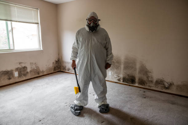 Best Mold Testing and Inspection Services in Thompsons Station, TN